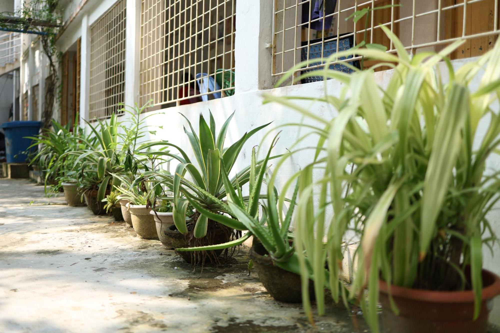 Hotel Kriya Yoga Wellness Dhablat Esterno foto